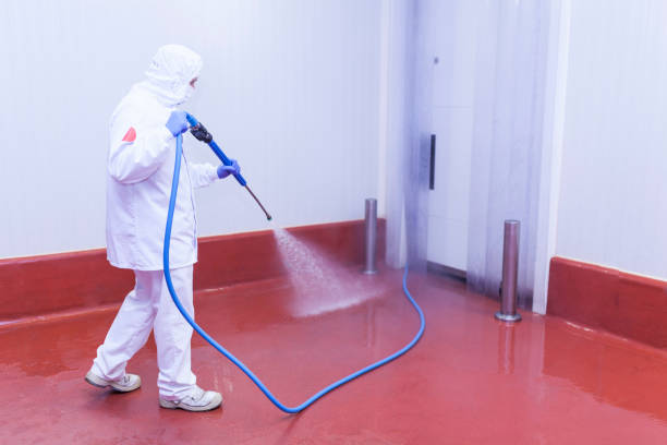 Best Factory Floor Cleaning  in Carrizo Hill, TX