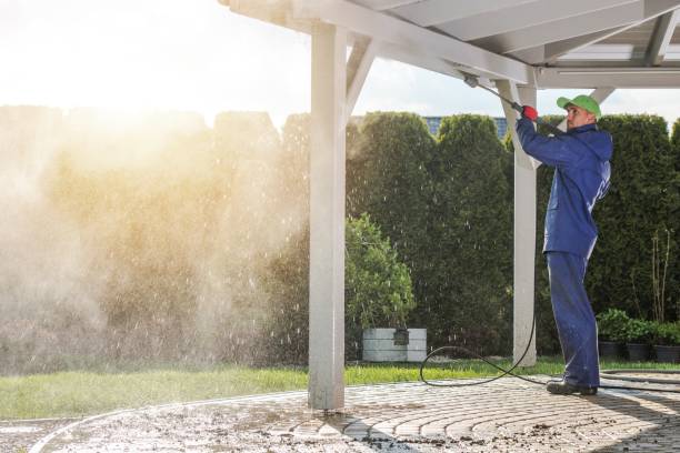 Best Pool Deck Cleaning  in Carrizo Hill, TX