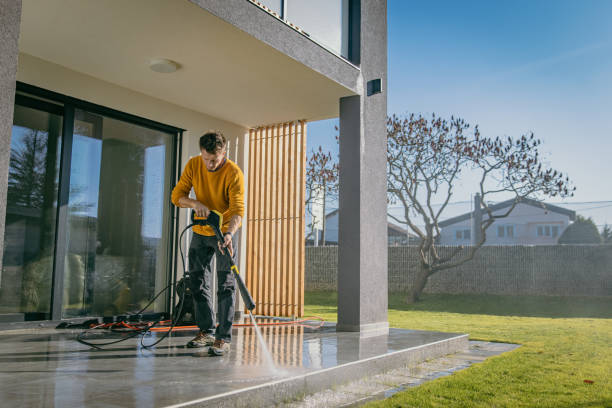 Best Roof Washing  in Carrizo Hill, TX