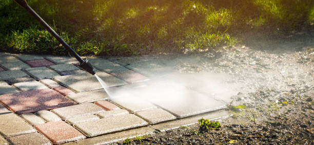 Best Spring Cleaning  in Carrizo Hill, TX