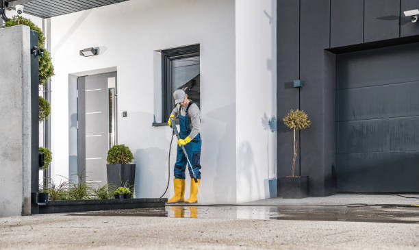 Best Sign and Awning Cleaning  in Carrizo Hill, TX